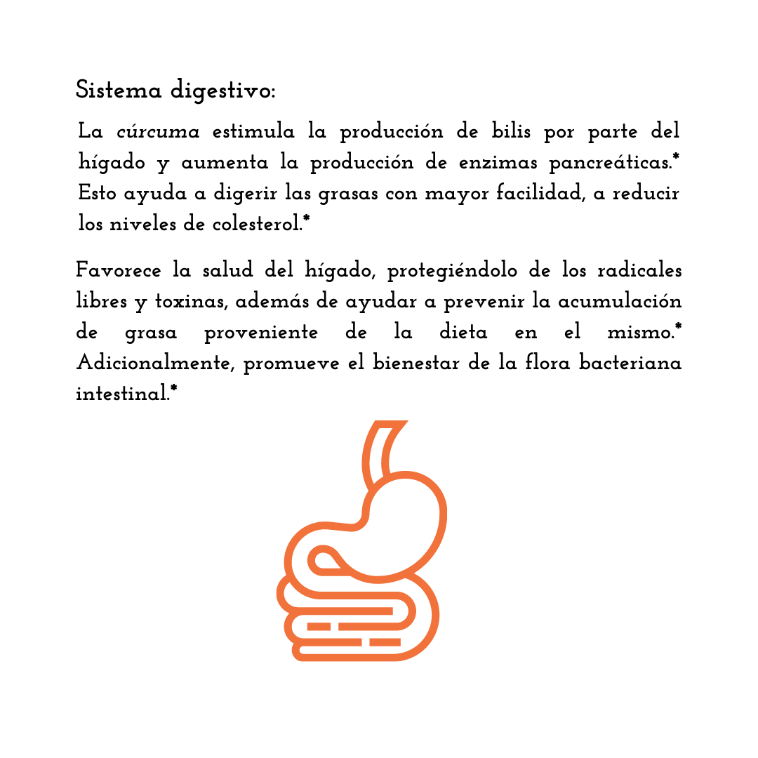 Pure CURCUMIN 10X 🧠