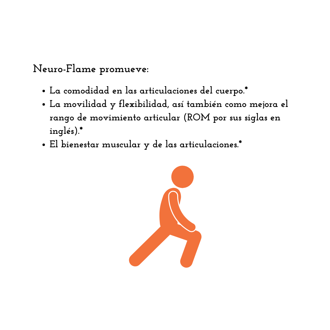 Neuro-Flame 🔥